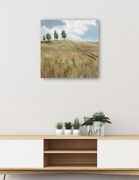 Cuadro decorativo técnica mixta Cuadros Jr Caminos