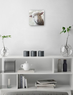 Cuadro decorativo técnica mixta Cuadros Jr Animales Domésticos