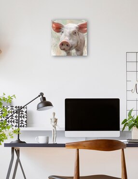 Cuadro decorativo técnica mixta Cuadros Jr Animales Domésticos