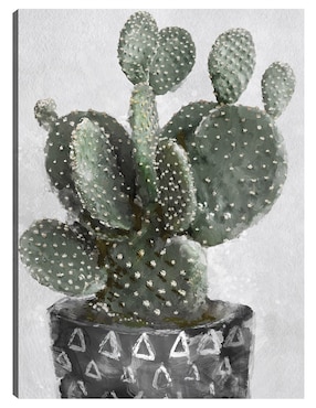 Cuadro decorativo técnica mixta Cuadros Jr Macetas