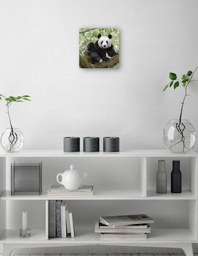 Cuadro decorativo técnica mixta Cuadros Jr Vida Silvestre