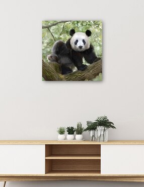 Cuadro decorativo técnica mixta Cuadros Jr Vida Silvestre