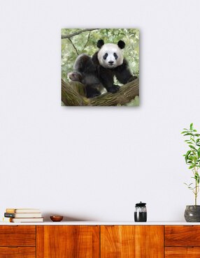 Cuadro decorativo técnica mixta Cuadros Jr Vida Silvestre