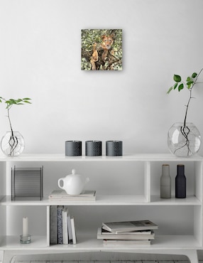 Cuadro decorativo técnica mixta Cuadros Jr Vida Silvestre