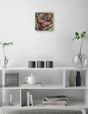 Cuadro decorativo técnica mixta Cuadros Jr Vida Silvestre