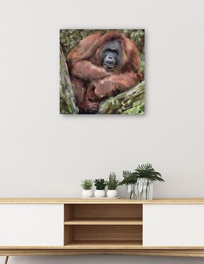 Cuadro decorativo técnica mixta Cuadros Jr Vida Silvestre