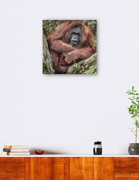 Cuadro decorativo técnica mixta Cuadros Jr Vida Silvestre