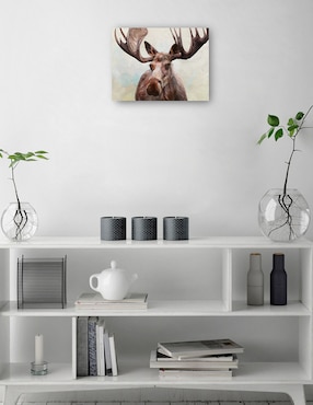 Cuadro decorativo técnica mixta Cuadros Jr Vida Silvestre