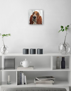 Cuadro decorativo Días de Perros II técnica mixta Cuadros Jr Animales Domésticos