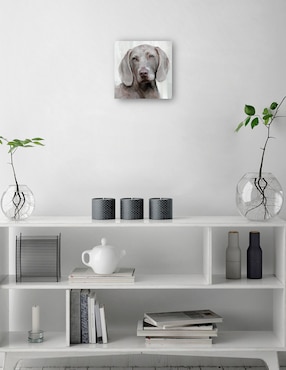 Cuadro decorativo Días de Perros IV técnica mixta Cuadros Jr Animales Domésticos