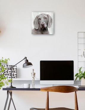Cuadro decorativo Días de Perros IV técnica mixta Cuadros Jr Animales Domésticos