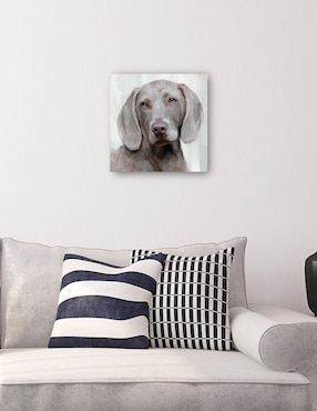 Cuadro decorativo Días de Perros IV técnica mixta Cuadros Jr Animales Domésticos