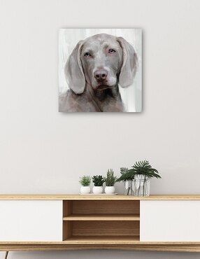 Cuadro decorativo Días de Perros IV técnica mixta Cuadros Jr Animales Domésticos