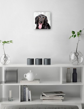 Cuadro decorativo Días de Perros I técnica mixta Cuadros Jr Animales Domésticos