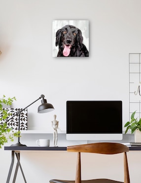 Cuadro decorativo Días de Perros I técnica mixta Cuadros Jr Animales Domésticos