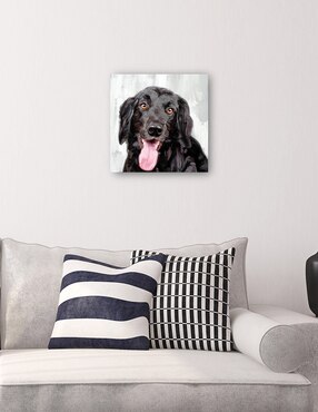 Cuadro decorativo Días de Perros I técnica mixta Cuadros Jr Animales Domésticos