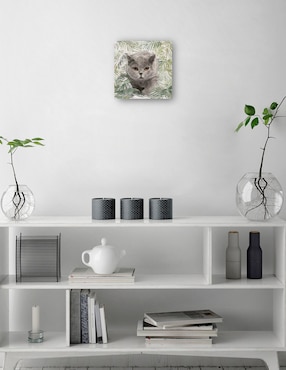 Cuadro decorativo Gatitos de la isla I técnica mixta Cuadros Jr Animales Domésticos