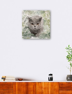 Cuadro decorativo Gatitos de la isla I técnica mixta Cuadros Jr Animales Domésticos