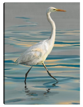 Cuadro decorativo Garceta vespertina I técnica mixta Cuadros Jr Aves Silvestres