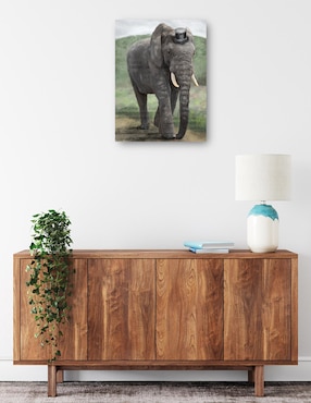 Cuadro decorativo Mandamás técnica mixta Cuadros Jr Vida Silvestre