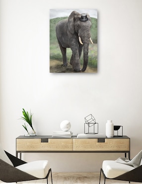 Cuadro decorativo Mandamás técnica mixta Cuadros Jr Vida Silvestre