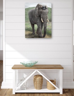 Cuadro decorativo Mandamás técnica mixta Cuadros Jr Vida Silvestre