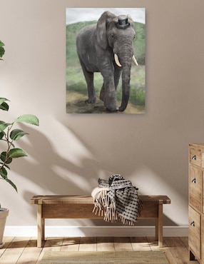 Cuadro decorativo Mandamás técnica mixta Cuadros Jr Vida Silvestre