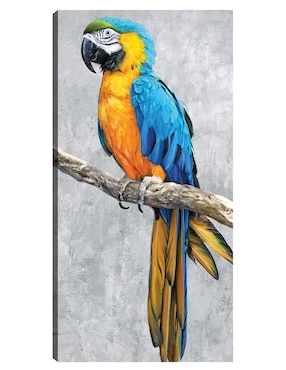 Cuadro decorativo Loros Tropicales II técnica mixta Cuadros Jr Aves Silvestres