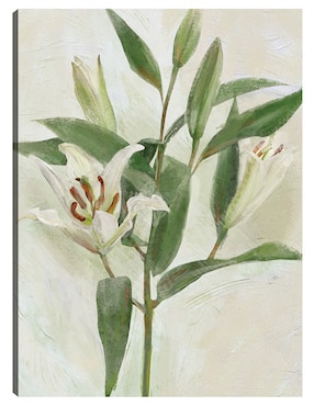 Cuadro decorativo Lys Blancs I técnica mixta Cuadros Jr Floración