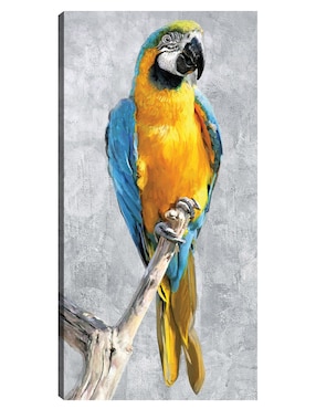 Cuadro decorativo Loros Tropicales I técnica mixta Cuadros Jr Aves Silvestres
