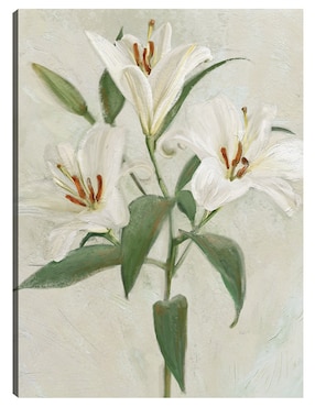 Cuadro decorativo Lys Blancs II técnica mixta Cuadros Jr Floración