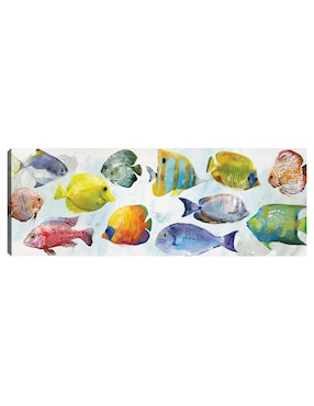 Cuadro decorativo Nado tropical técnica mixta Cuadros Jr Animales Marinos