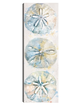 Cuadro decorativo Panel de concha II técnica mixta Cuadros Jr Animales Marinos