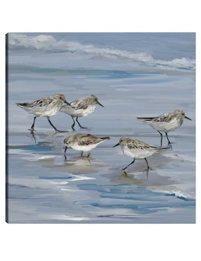 Cuadro decorativo Playa de la lavandera II técnica mixta Cuadros Jr Aves Silvestres