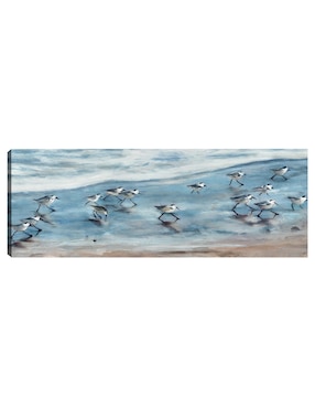 Cuadro decorativo Playeritos I técnica mixta Cuadros Jr Aves Silvestres