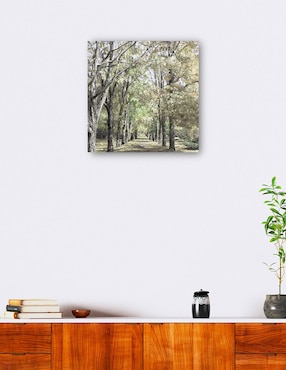 Cuadro decorativo Rango de primavera técnica mixta Cuadros Jr Caminos