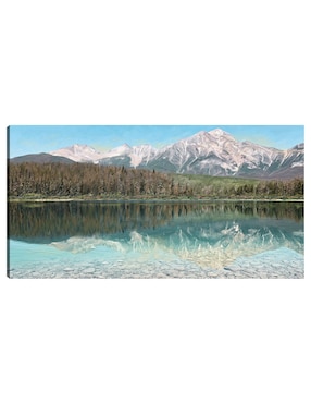 Cuadro decorativo Reflejo majestuoso técnica mixta Cuadros Jr Lagos
