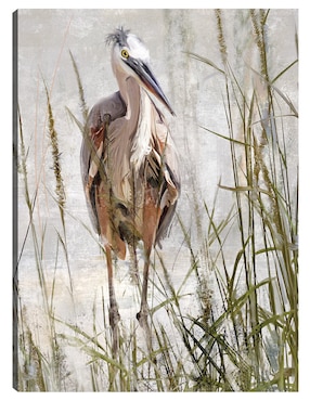 Cuadro Decorativo Retrato De Garza Azul Técnica Mixta Cuadros Jr Aves Silvestres