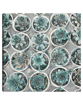 Cuadro decorativo Selecciones técnica mixta Cuadros Jr Macetas
