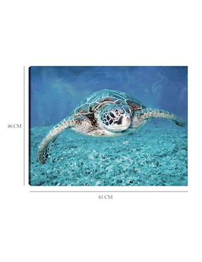 Cuadro decorativo Tortuga marina técnica mixta Cuadros Jr Animales Marinos
