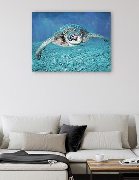 Cuadro decorativo Tortuga marina técnica mixta Cuadros Jr Animales Marinos