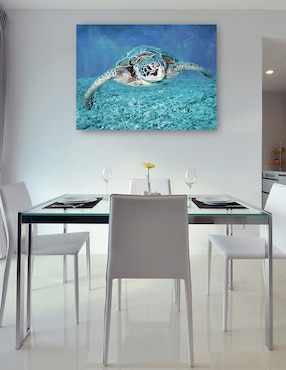 Cuadro decorativo Tortuga marina técnica mixta Cuadros Jr Animales Marinos