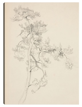 Cuadro decorativo Árbol y follaje técnica mixta Cuadros Jr Bocetos
