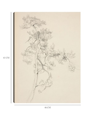 Cuadro decorativo Árbol y follaje técnica mixta Cuadros Jr Bocetos