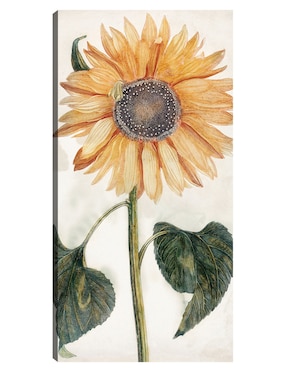 Cuadro decorativo Girasol (1688-1698) técnica mixta Cuadros Jr Girasoles