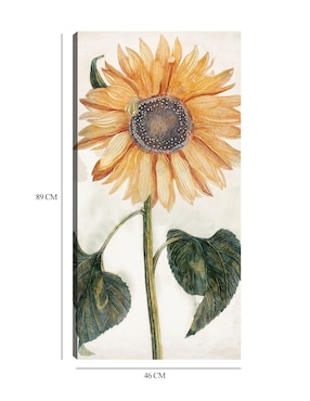 Cuadro decorativo Girasol (1688-1698) técnica mixta Cuadros Jr Girasoles