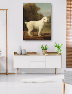 Cuadro decorativo Caniche blanco en una batea, c. 1780 técnica mixta Cuadros Jr Animales Domésticos