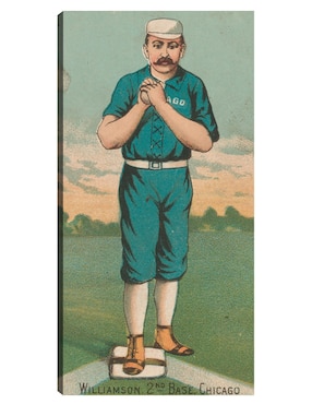 Cuadro Decorativo Ned Williamson, Medias Blancas De Chicago, Retrato De Tarjeta De Béisbol - Impresión En Lienzo Técnica Mixta Cuadros Jr Deportes