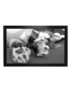Cuadro decorativo Pixelarte gato