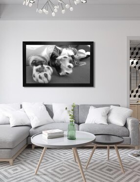 Cuadro decorativo Pixelarte gato
